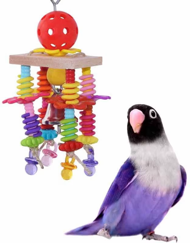 Introducing a New Toy to Your Pet Bird: Tips and Techniques