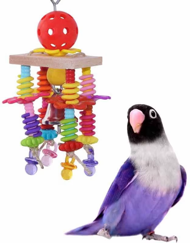 bird next to bird toy