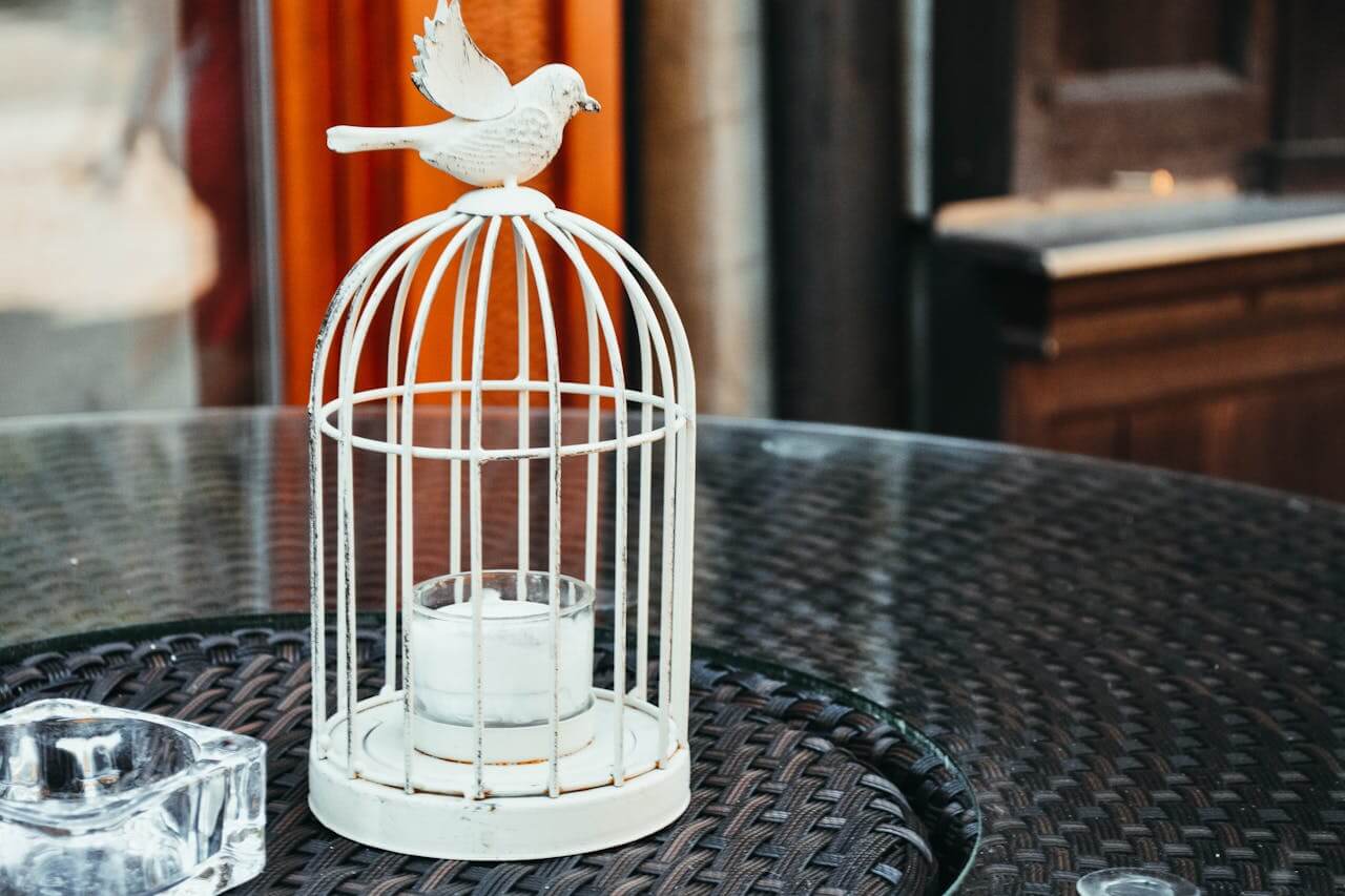 How To Pick The Perfect Bird Cage