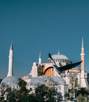 pigeon flying in front mosque