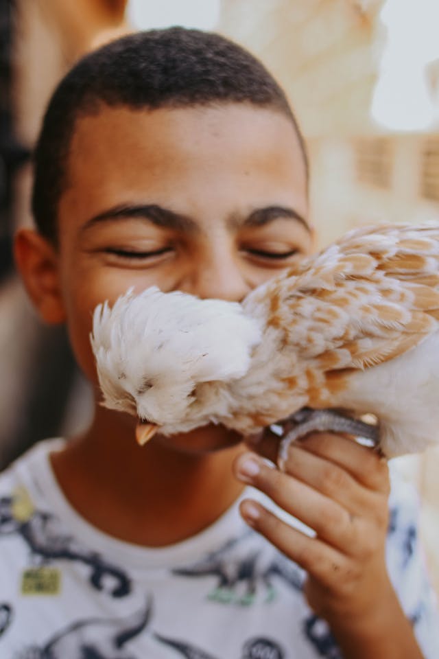 pet bird playing happy