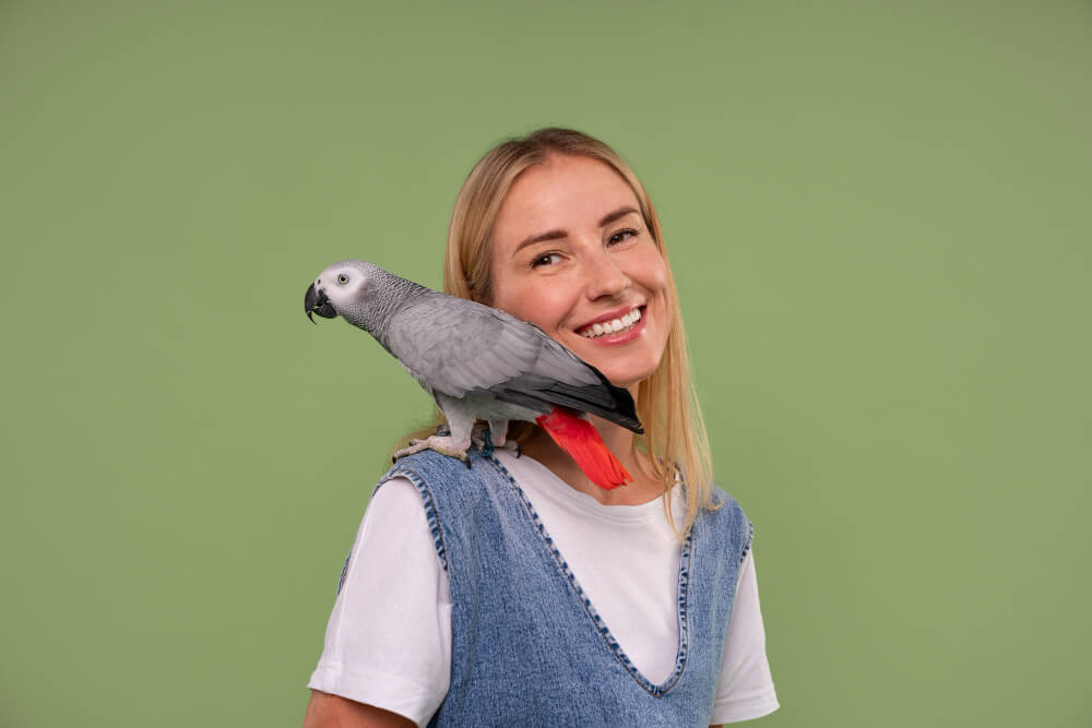 pet parrot on owner shoulder