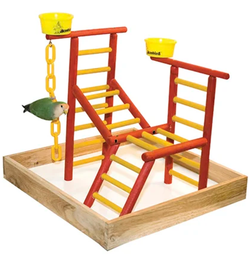 bird play gym