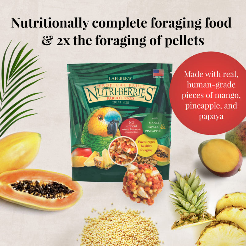 Parrot Foraging Fun Pack 