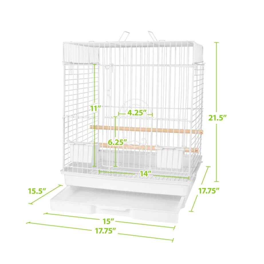 448S Bird Cage Starter Kit (միջին թռչուններ)