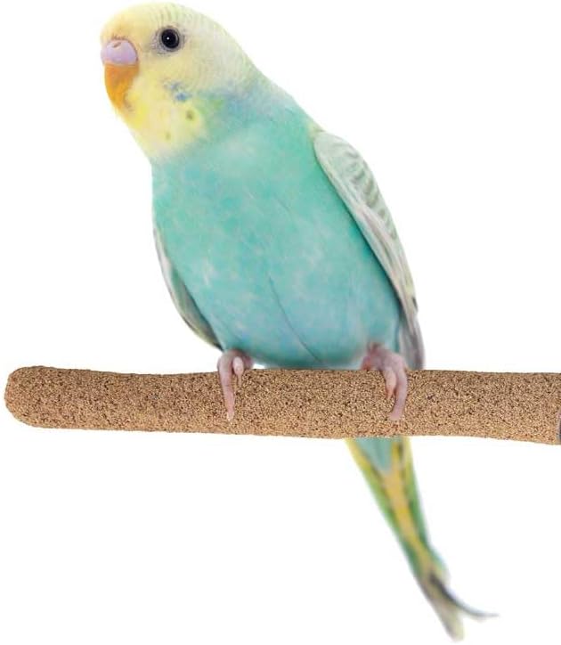 Sure-Grip Grooming Perch Sm