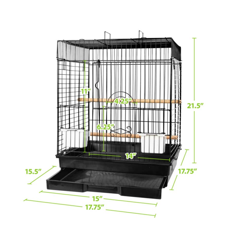 448S Bird Cage Fun Kit (medium birds)