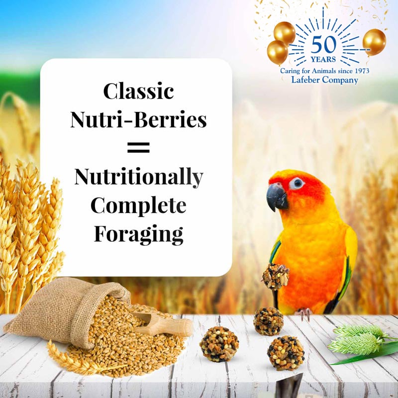 Classic Conure Nutri-Berries 10-oz