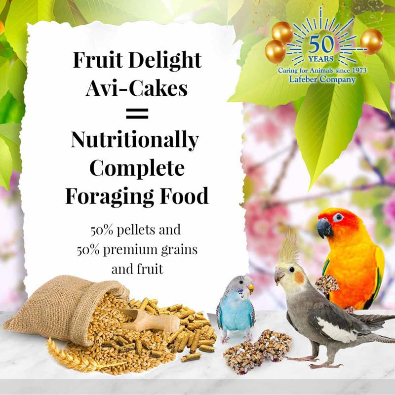 Fruit Delight Avi-Cakes for Small Birds 8oz