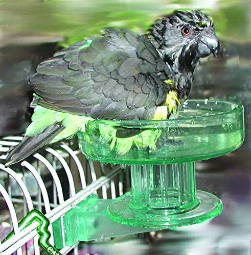 Lixit Quick-Lock Bird Bath