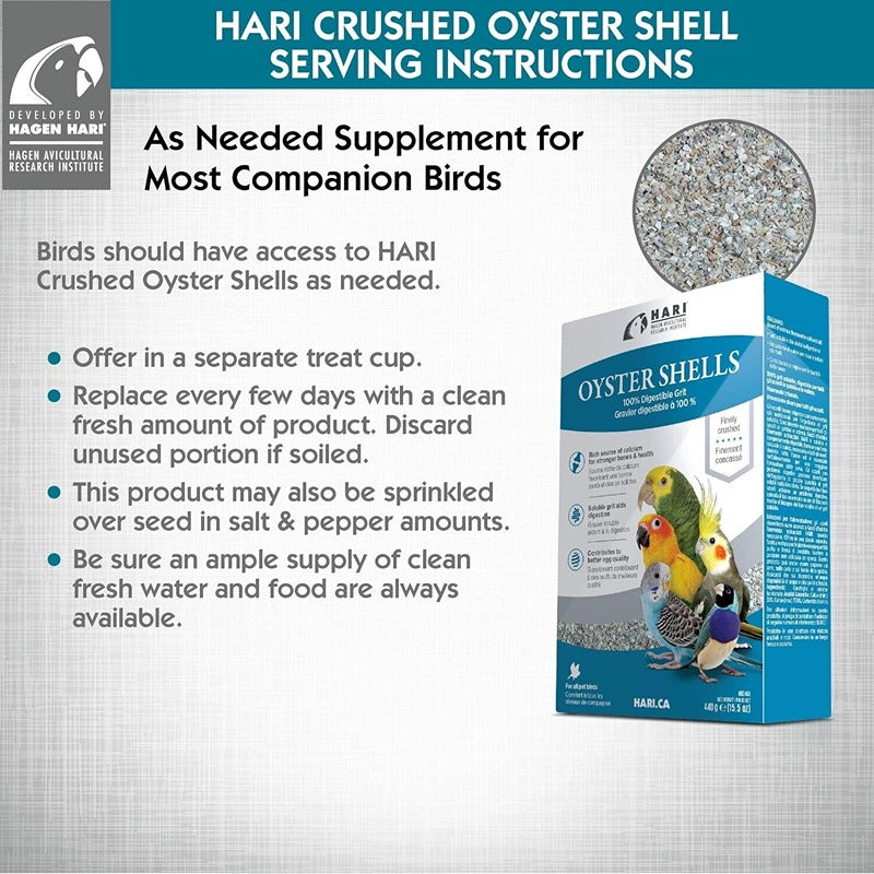 Oyster Shells 