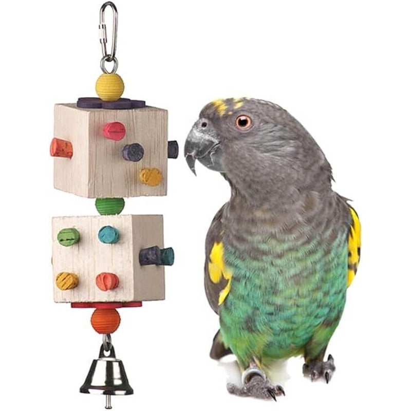 Parrot-Dice Toy