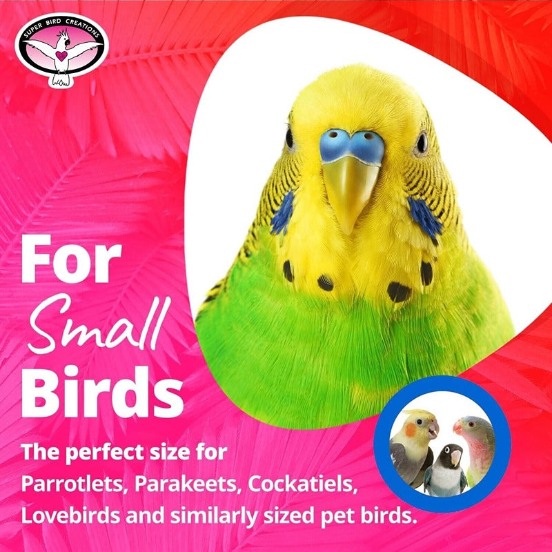 Balsa Bling Bird Toy