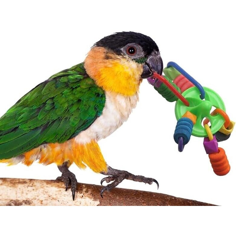 Ripple Top Bird Foot Toy 