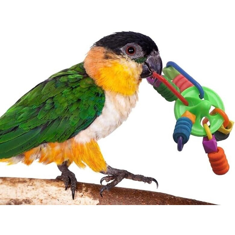 Ripple Top Bird Foot Toy