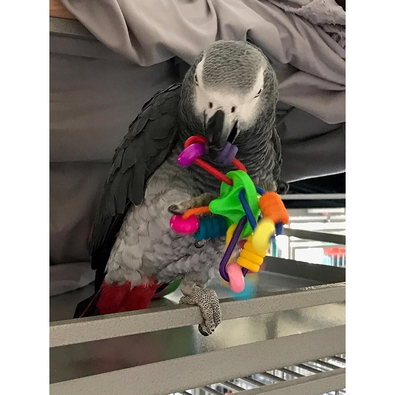 Ripple Top Bird Foot Toy 