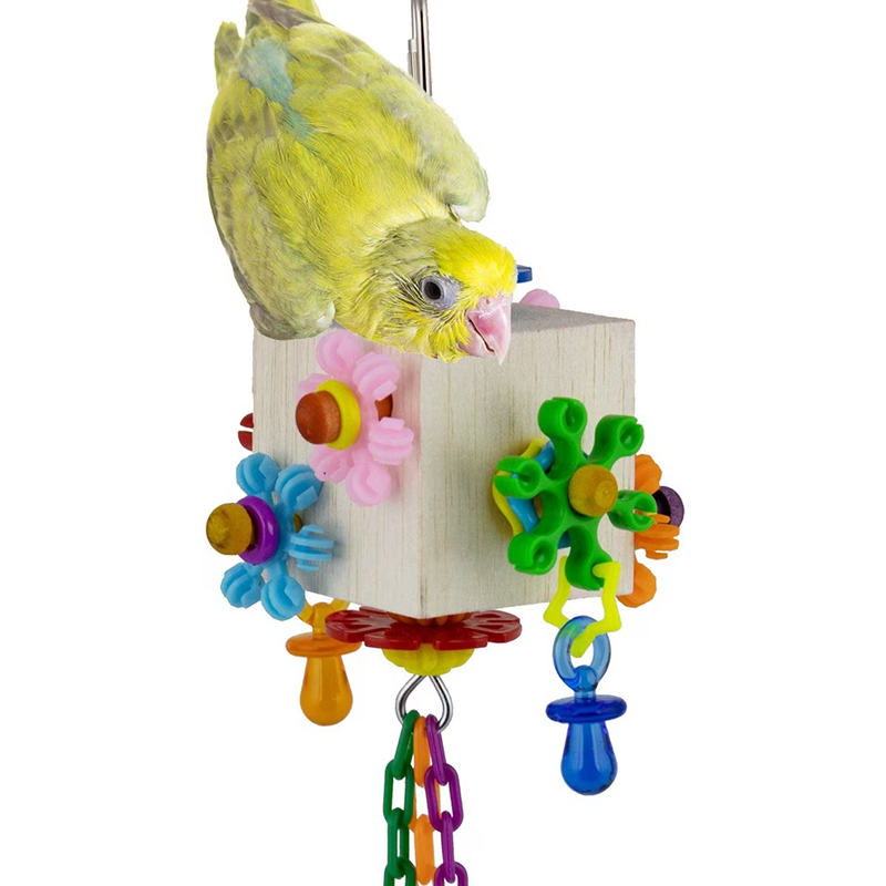 Dancing Daisies Bird Toy 