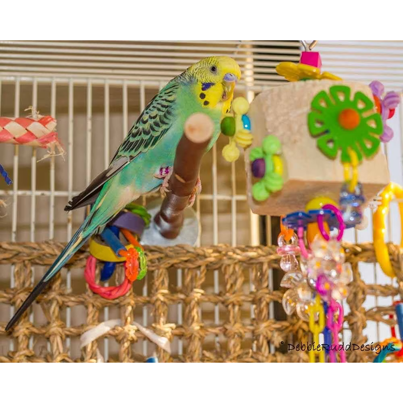 Dancing Daisies Bird Toy