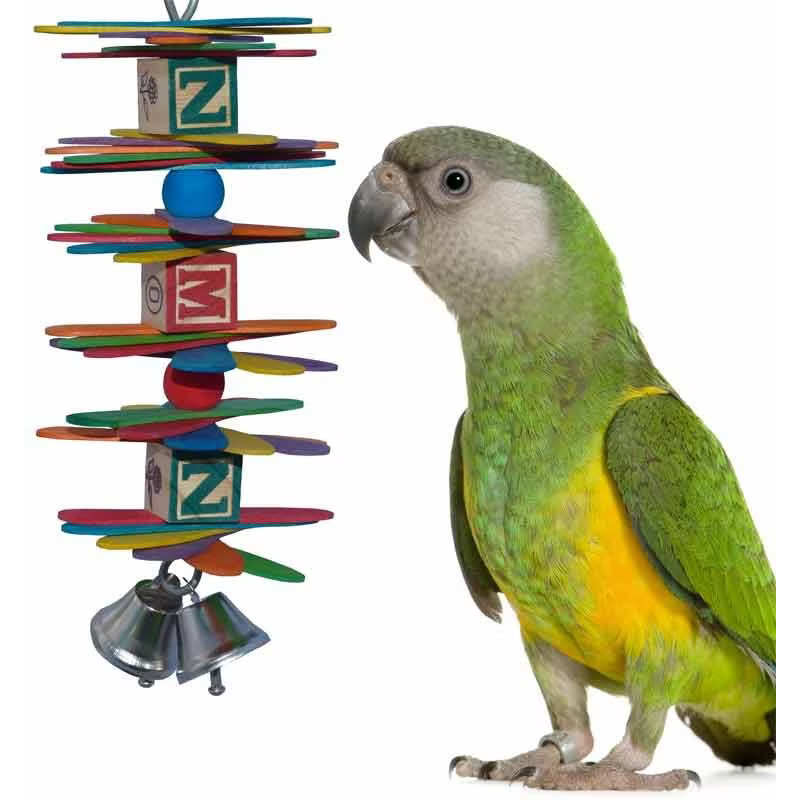 ABC Spoon Stack Bird Toy