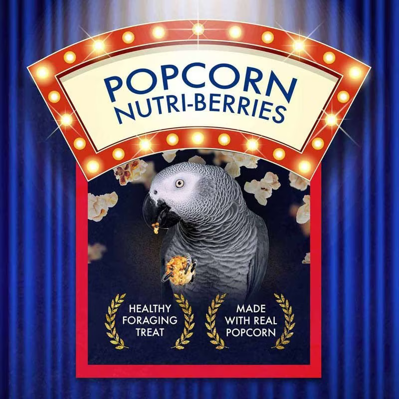 Popcorn Nutri-Berry 