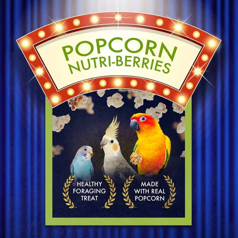 Popcorn Nutri-Beries for Birds 