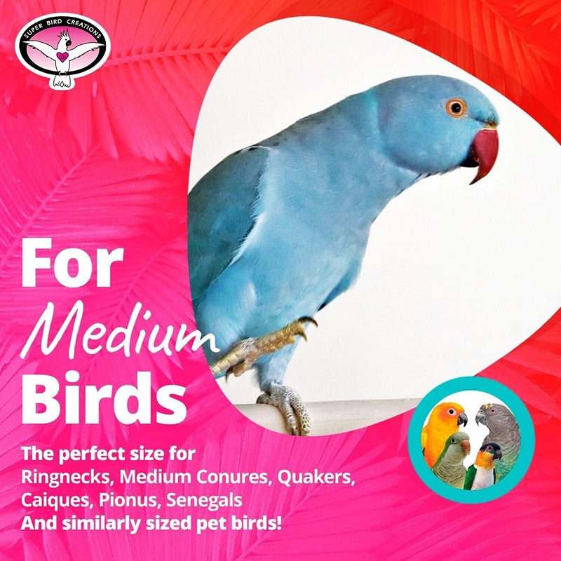 Balancing Act Bird Toy 