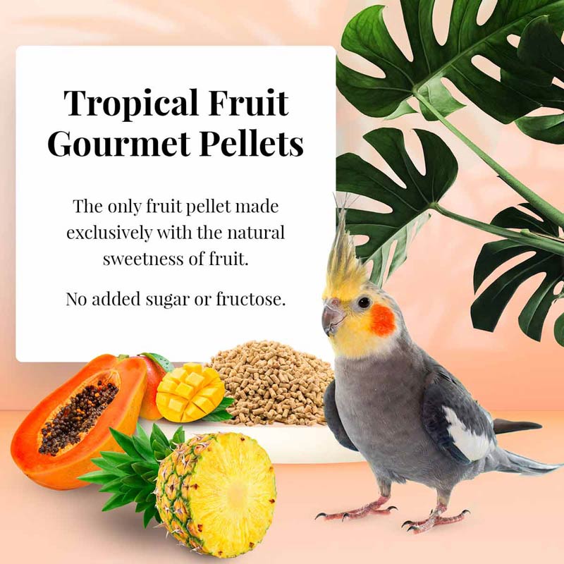 Cockatiel Tropical Fruit Gourmet pellets 1.25 lb 