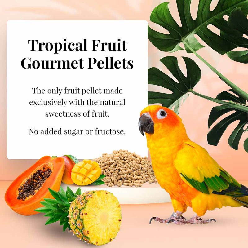 Conure Tropical Fruit Gourmet pellets 1.25lb 