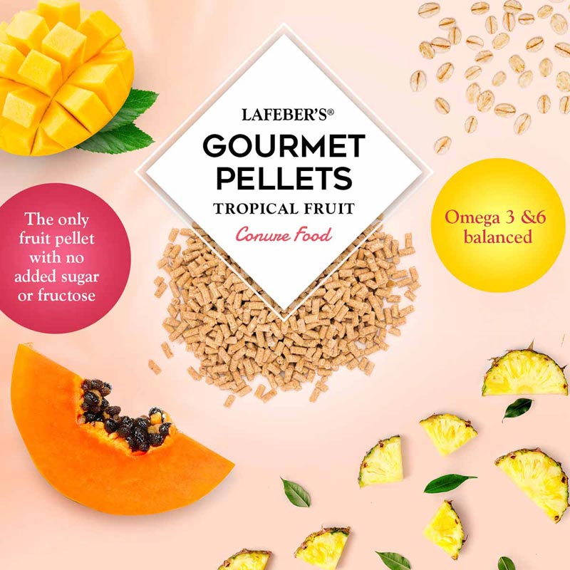 Conure Tropical Fruit Gourmet pellets 1.25lb 