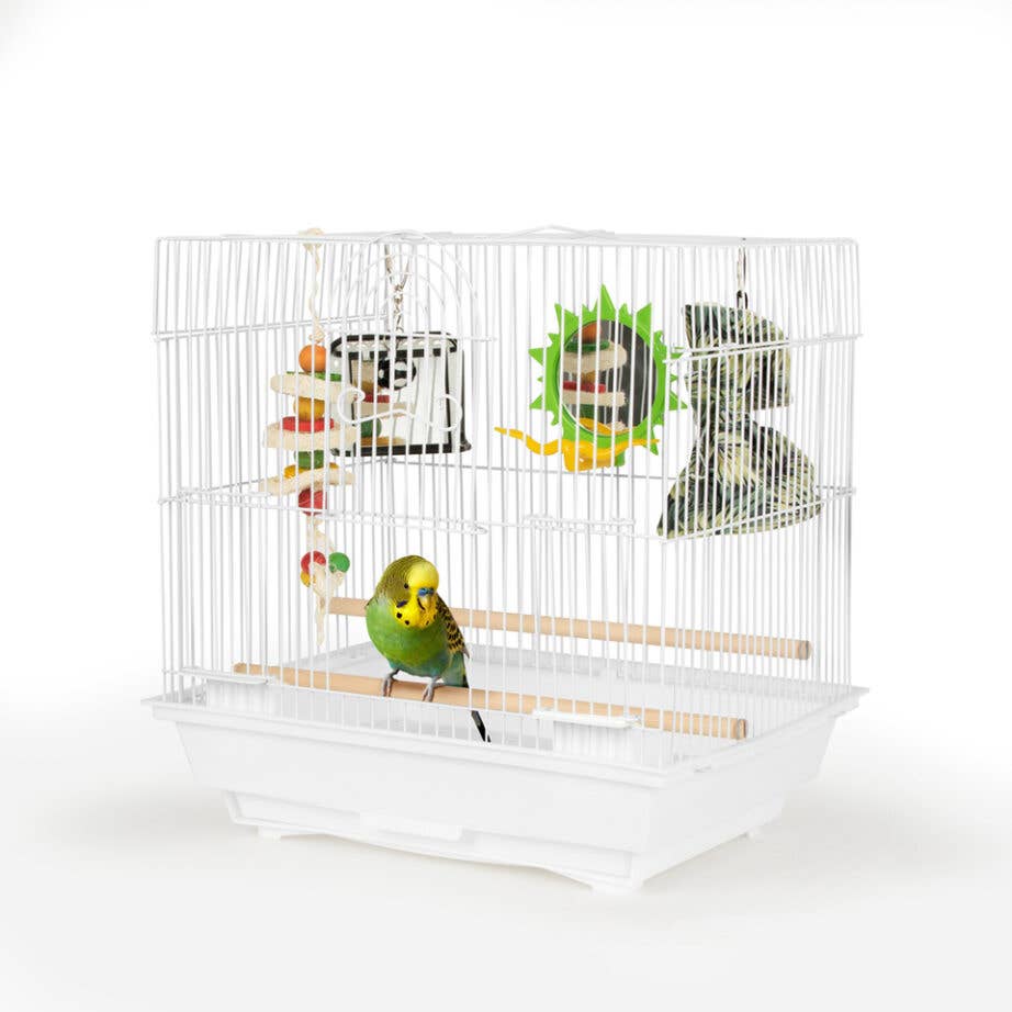 355S Bird Cage Fun Kit (ավելի փոքր/փոքր թռչուններ)