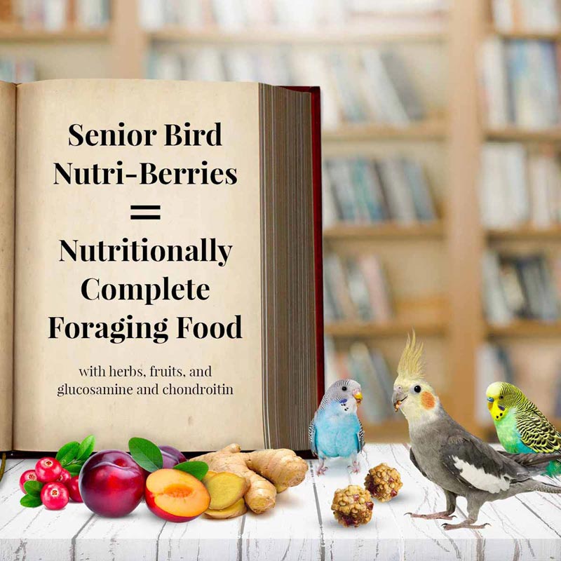 Nutri-Berries Senior Bird para periquitos y cacatúas, 10 onzas