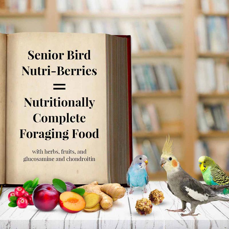 Senior Bird Nutri-Berries for Parakeet & Cockatiel 10-Oz