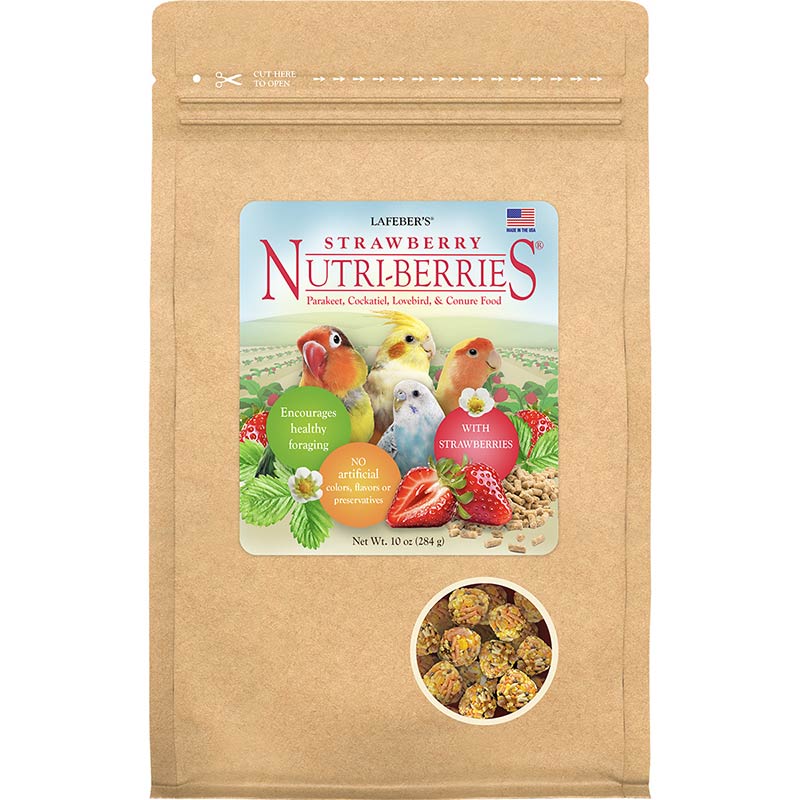 Lafeber's Strawberry Nutri-Berries for Small Birds 10-oz