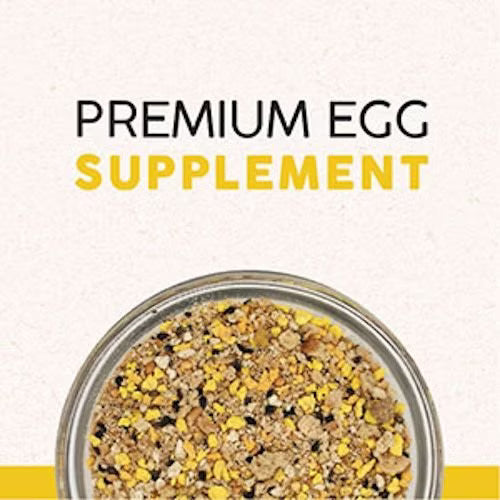 Quiko Special Egg Food Supplement for Canaries, 1.1-lb