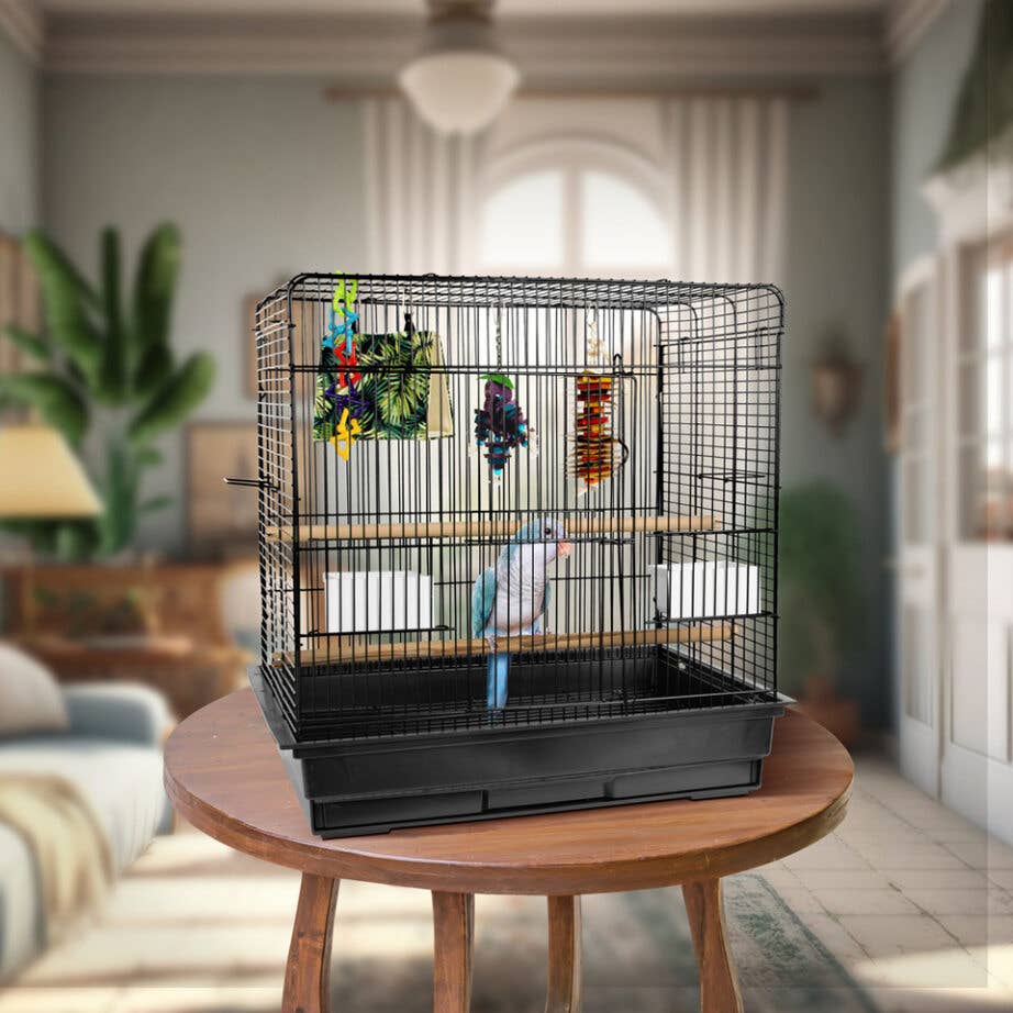 2418 Bird Cage Fun Kit (միջին թռչուններ)