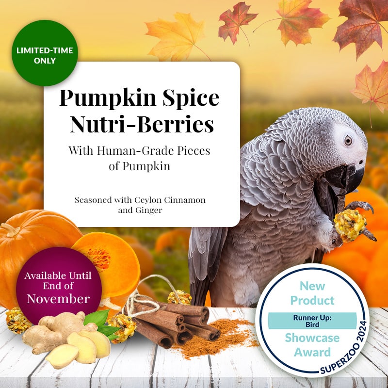 LIMITED EDITION Pumpkin Spice Nutri-Berries for Parrots