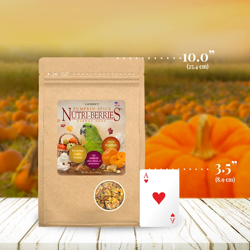 LIMITED EDITION Pumpkin Spice Nutri-Berries for Parrots