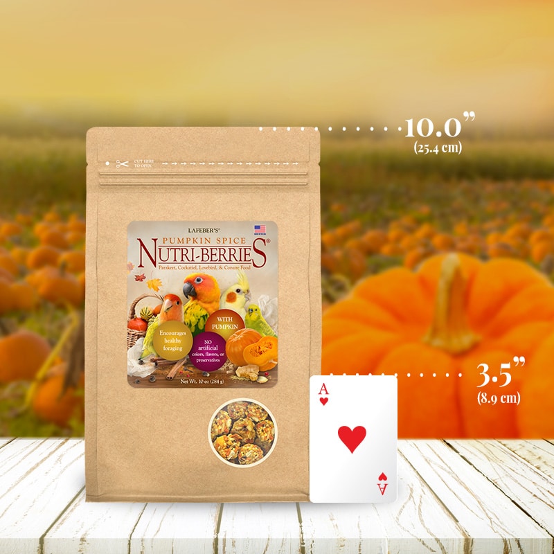 LIMITED EDITION Pumpkin Spice Nutri-Berries for Small Birds