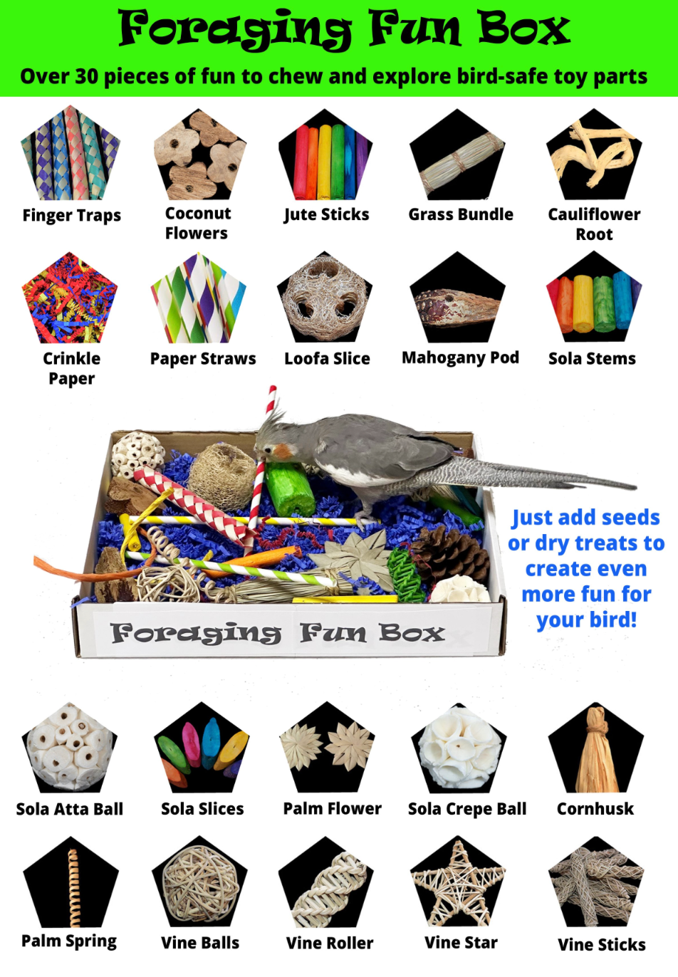 Foraging Fun Box Bird Toy – Cheeky Beaks