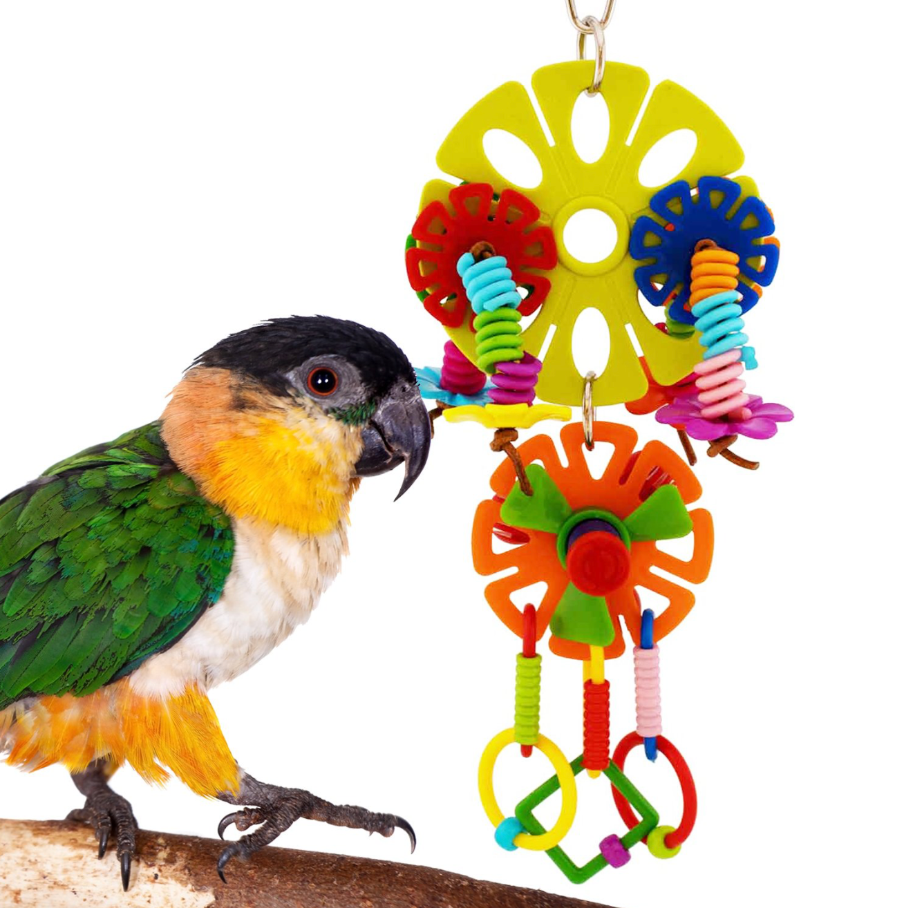 Spring Twister Bird Toy