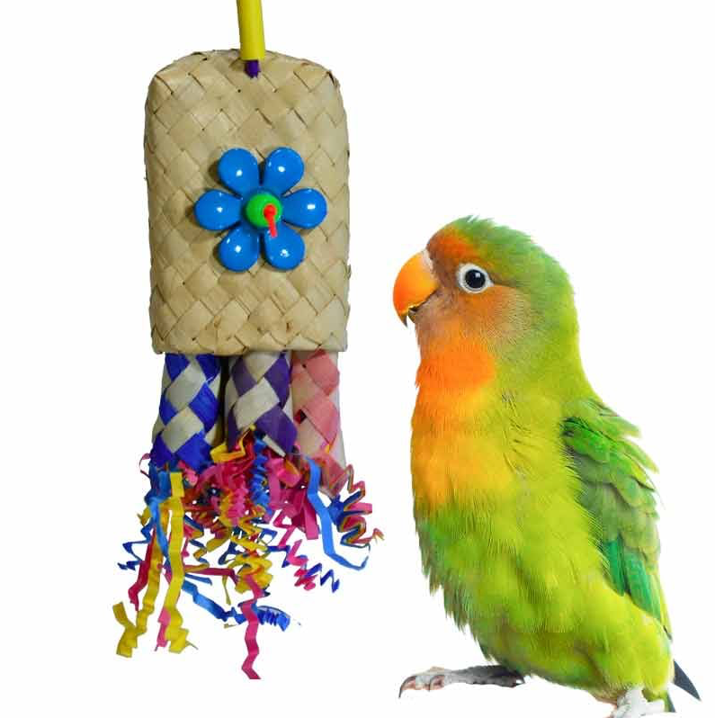 Pocket Rocket Bird Toy