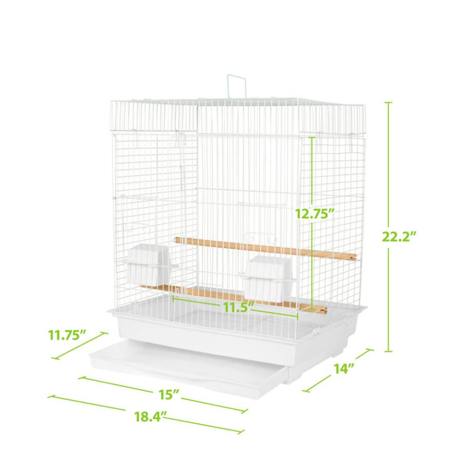 450S Bird Cage Fun Kit (ավելի փոքր/փոքր թռչուններ)