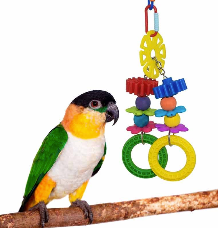 Tug-a-Lug Bird Toy