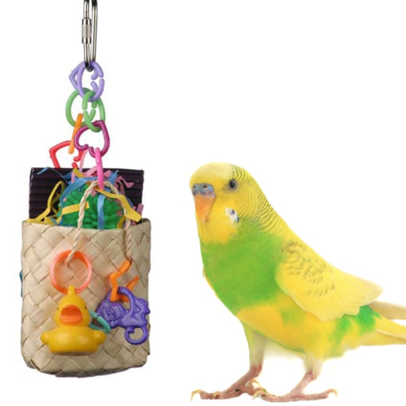 Beach Bag Bird Toy 