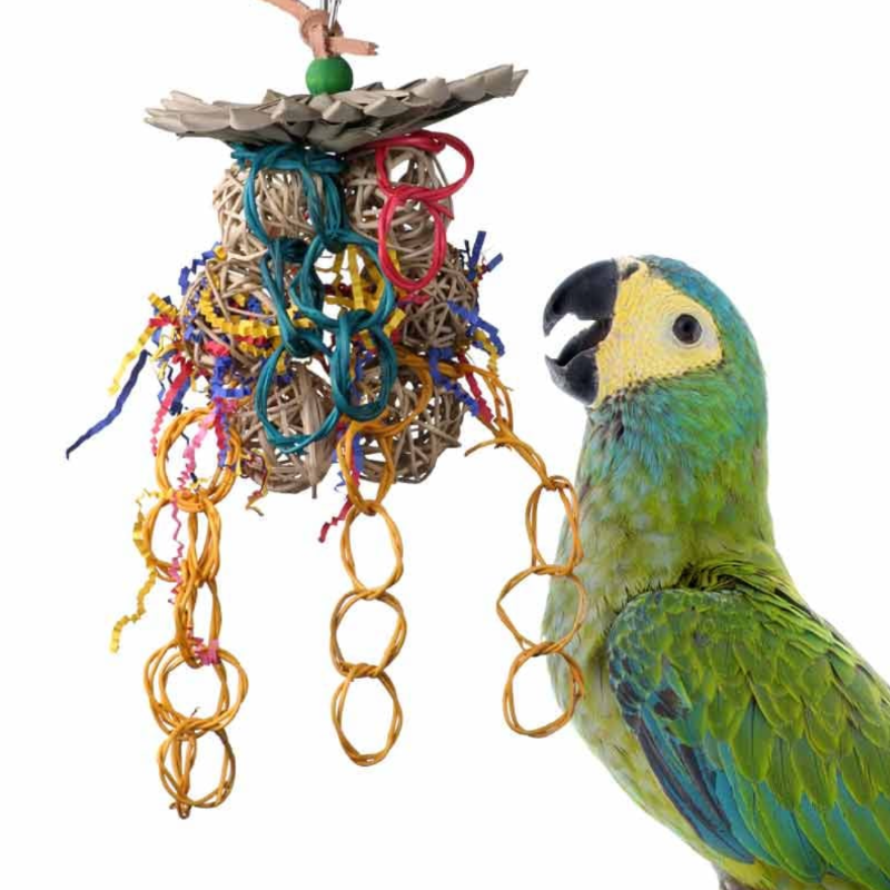 Mexican Hat Dance Bird Toy