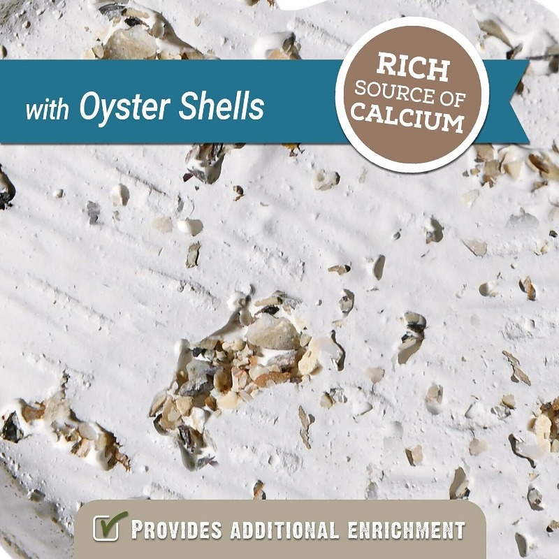 Oyster Shell հանքային բլոկ 