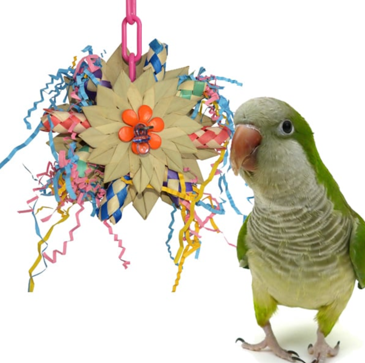 Pinwheel Bird Toy