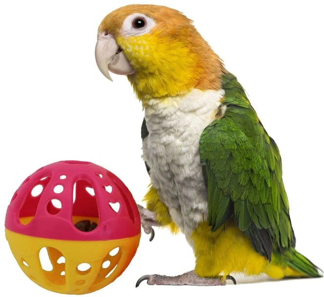 Paquete de 4 bolas para pájaros 