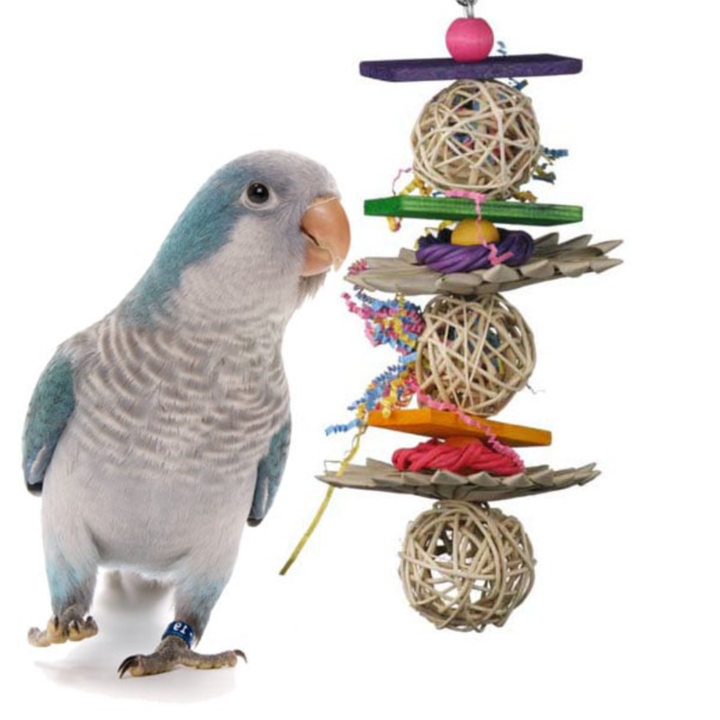 Crunch & Munch Bird Toy 