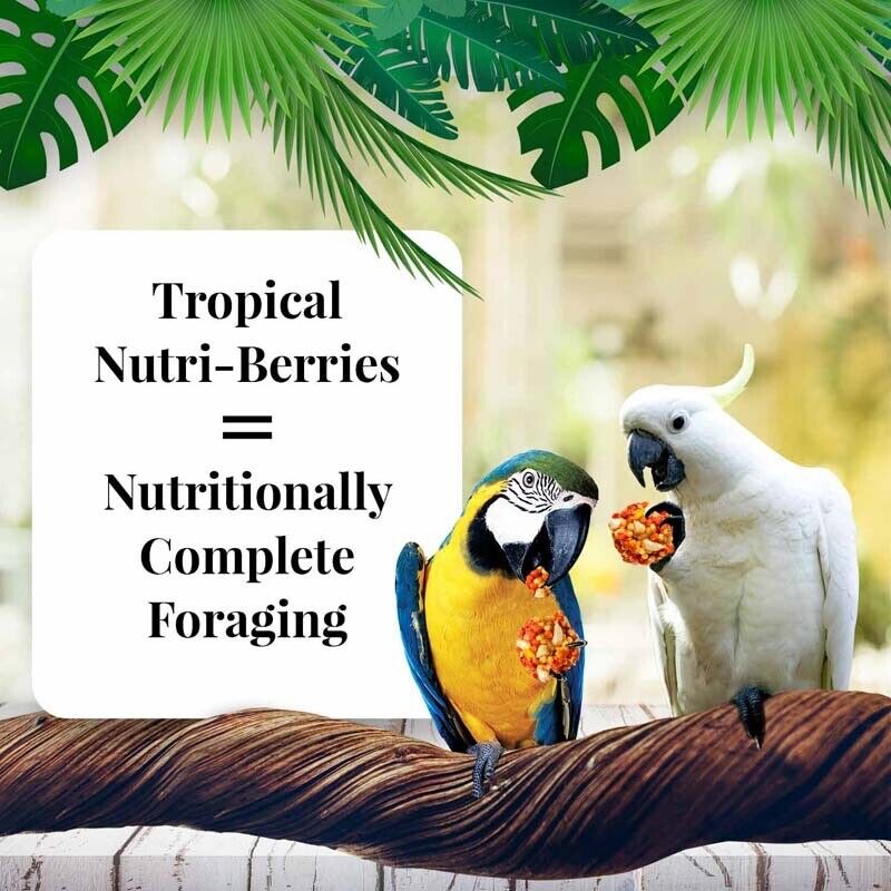 Tropical Fruit Nutri-Berries, Macaws